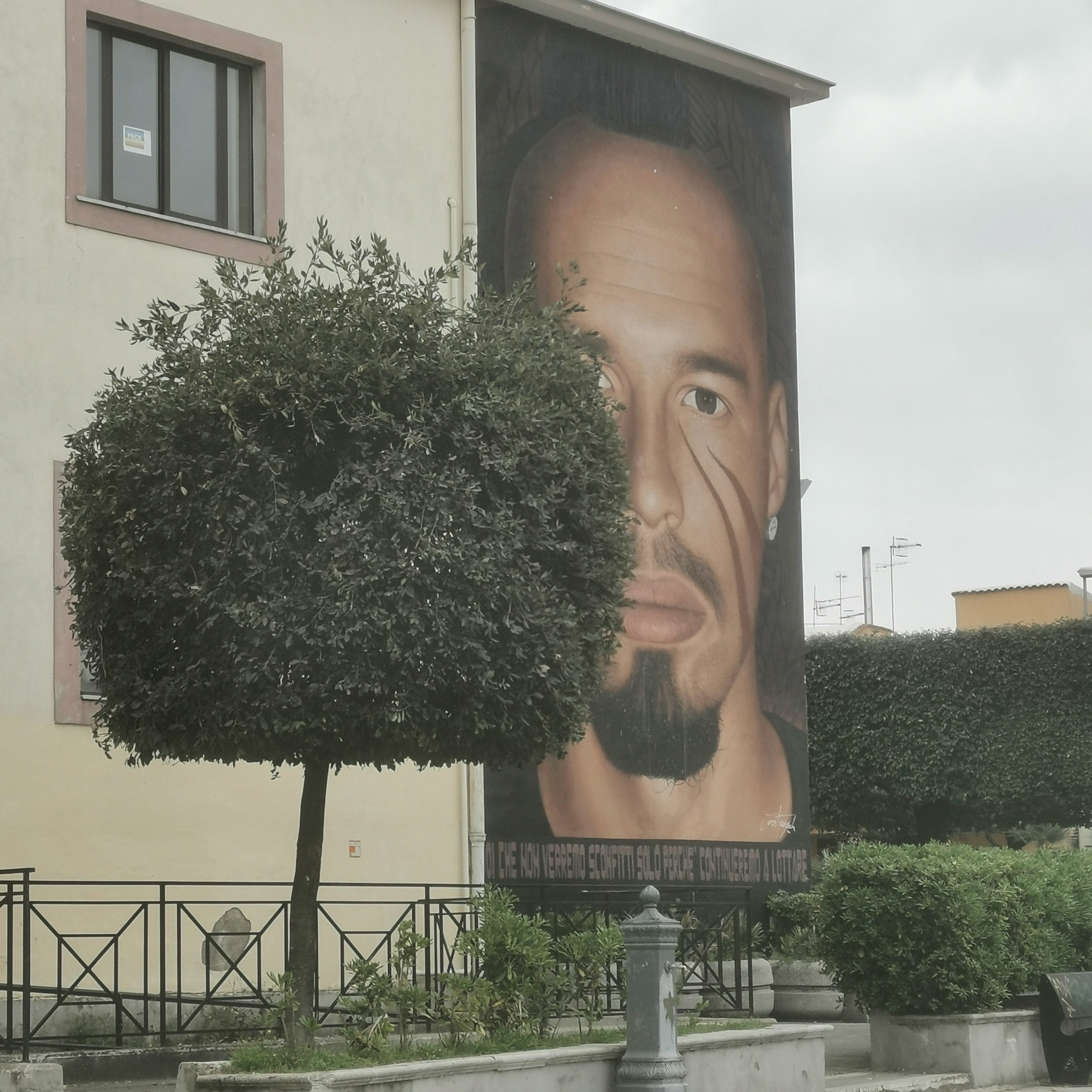 foto